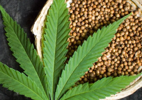 What is the Legal Status of Hemp?